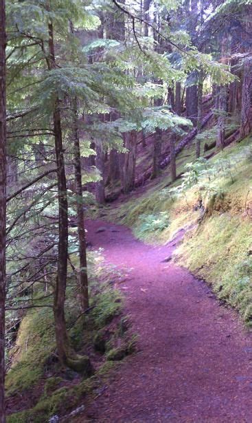 Ramona Falls Trail Ramona Falls Oregon Hikes Trail