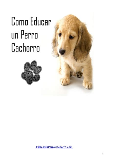 Pdf 7 Claves Para Educar Un Perro Cachorro Dokumentips