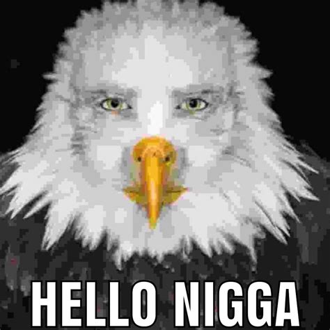Hello N Staring Eagle Meme Hello Nigga Know Your Meme