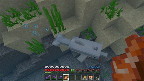 Co Jedzą żółwie W Minecraft - Minecraft: Delfiny - Aktualizacja wodna / Update Aquatic - Minecraft