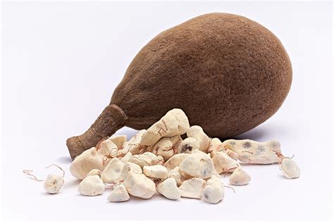 Top Benefits Of Baobab Powder Saco Superfoods