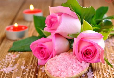 Best flower wallpaper hd download. New Latest Top HD Flowers Wallpapers 2014 | Amazing Photo ...