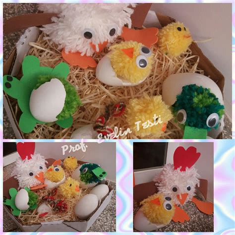 Atividades Fauna E Flora Educação Infantil