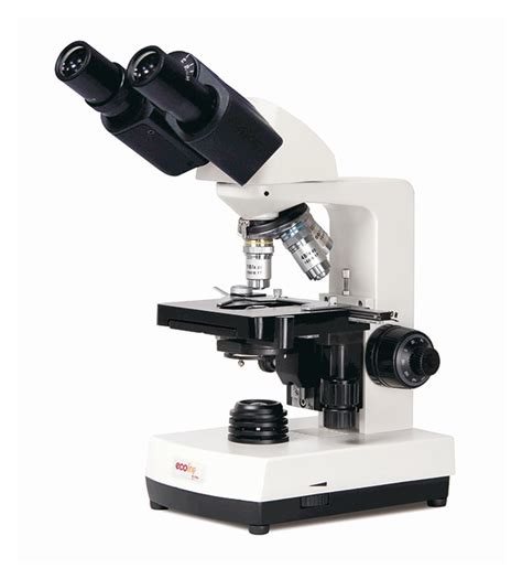 Fisher Science Education Ecoline Compound Microscopes Binocular Microscopes Fisher Scientific