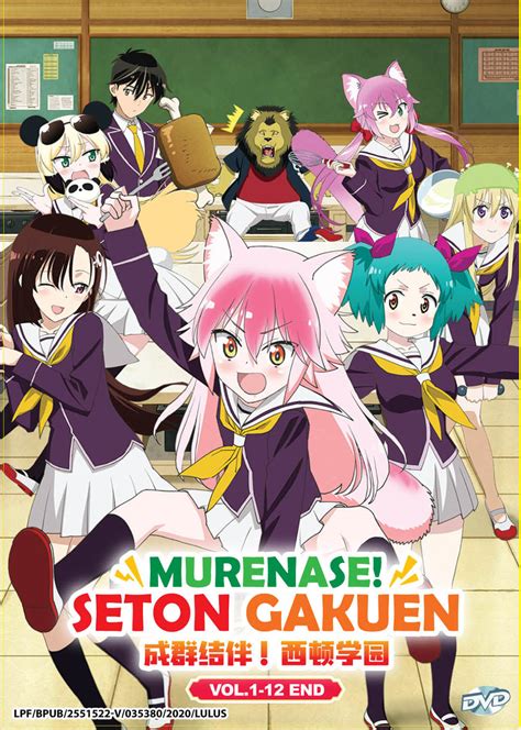 All boruto subbed episodes are available in hd. Murenase! Seton Gakuen (DVD) (2020) Japanese Anime | Ep: 1 ...