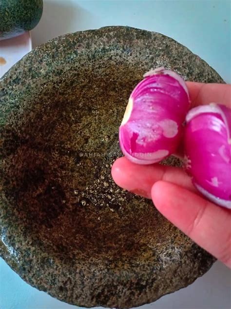 Ikutilah cara merawat ikan cupang berikut ini agar cepat tumbuh besar dan warnanya bagus. Cara Mudah Buat Bebola Ikan Homemade Sedap Hanya Guna 5 Bahan