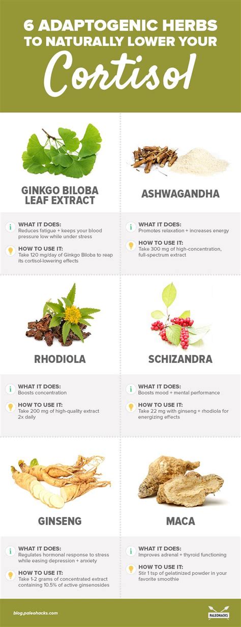 We did not find results for: 6 Adaptogenic Herbs to Naturally Lower Your Cortisol ...