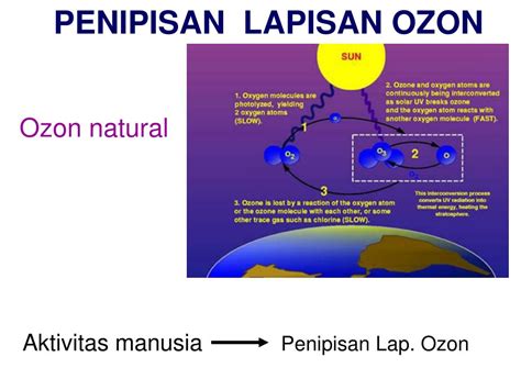 Ppt Dampak Aktivitas Manusia Pada Kualitas Udara Powerpoint Presentation Id3256597