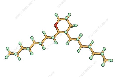 Thromboxane A2 Molecular Model Stock Image F0243147 Science