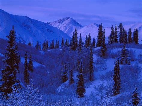 Alaska Winter Scene Wallpaper Wallpapersafari