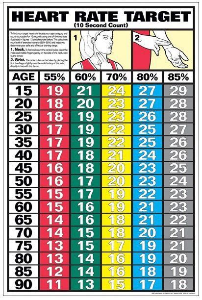 Target Heart Rate Exercise Chart