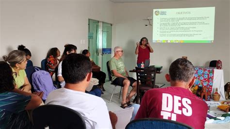 Irpaa Instituto Regional Da Pequena Agropecu Ria Apropriada