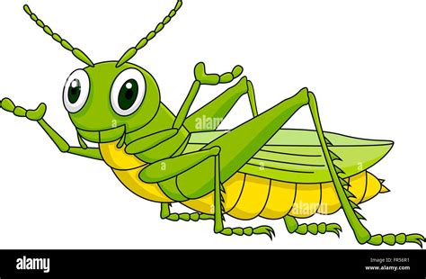 Green Grasshopper Cartoon Stock Vector Image And Art Alamy