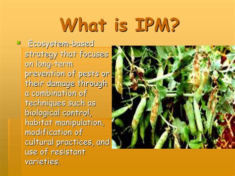 Ppt Integrated Pest Management Ipm Powerpoint Presentation Free