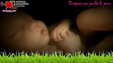 Agora o desenvolvimento fetal dele já completo, mostra um bebê perfeito, apenas um pouco mais magro que o dia do nascimento. Saúde - Desenvolvimento do bebê - 27 semanas de gestação ...