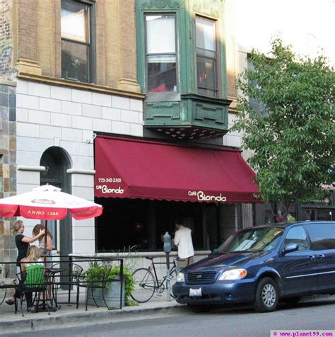 Windy kitty cat cafe understands that cats are independent animals with high cuddle expectations. Chicago : Cafe Bionda (closed) with photo! via Planet99