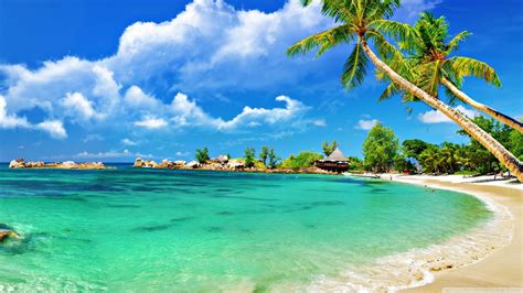 Awesome Tropical Beach Ultra Hd Desktop Background Wallpaper For 4k Uhd
