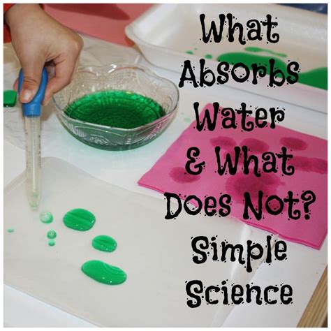 Water Science Experiment Exploring Absorption Water Science