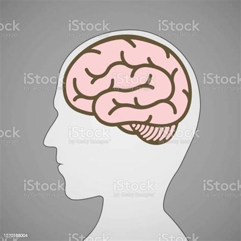 ilustración de silueta de la cabeza humana con un símbolo cerebral y más vectores libres de