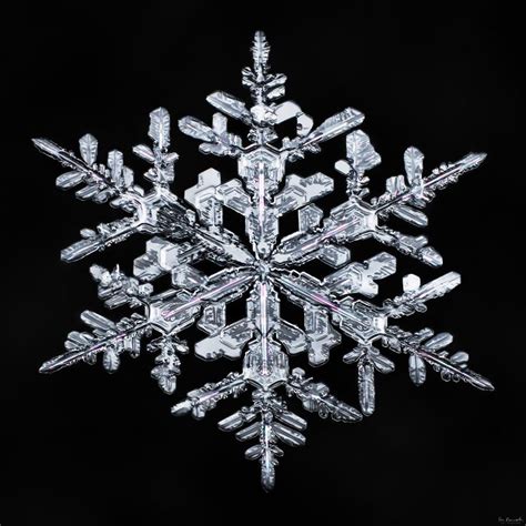 Snowflake A Day 78 Snowflakes Snowflake Images Snow Crystal
