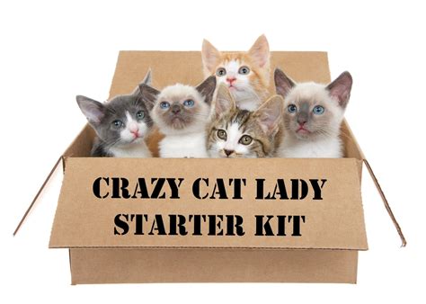 Ts For The Crazy Cat Lady — Good Life Of A Housewife