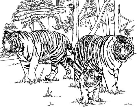 Tiger Coloring Pages At Getdrawings Free Download