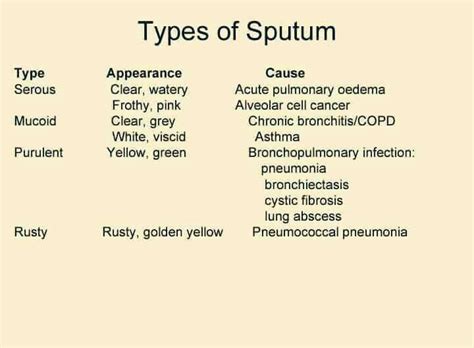 Pin By Anas Zein Alaabdin On Pulmonology Pulmonology Oedema