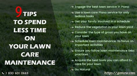 9 Tips To Spend Less Time On Your Lawn Care Maintenance In Plano Gomow