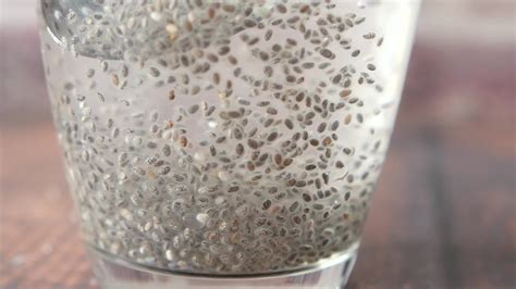 Hydrated chia seeds in a cup close up, egg substitute 14098359 Stock