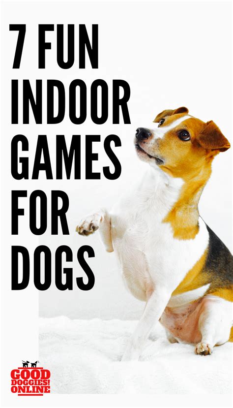 Want To Keep Your Dog Entertained Indoors Or In Your Apartment Here