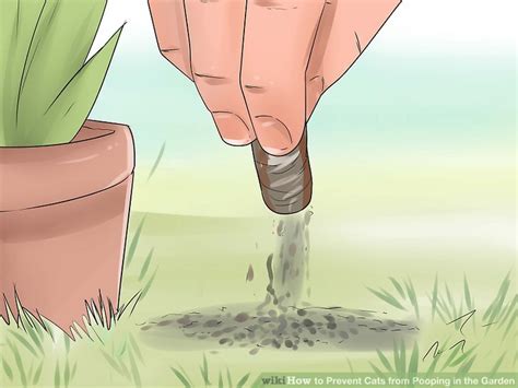 Method 1 making the garden unattractive to cats. How To Stop Your Cat Pooping In The Garden - CatWalls