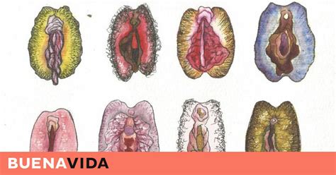 Anatom A De Una Intimidad Confusa Cuando Una Vagina Normal Se Convierte En Un Complejo
