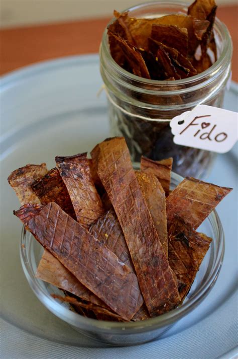 We had an aussie mix with terrible skin allergies. Kombucha Treats For Your Dogs - Cultured Food Life