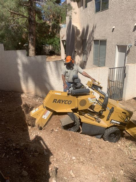 Our las vegas plumbing services are offered to both commercial and residential clients, always with our high standards of courtesy and customer service. Free Tree Removal Estimate | Las Vegas, NV | Henrie Tree ...