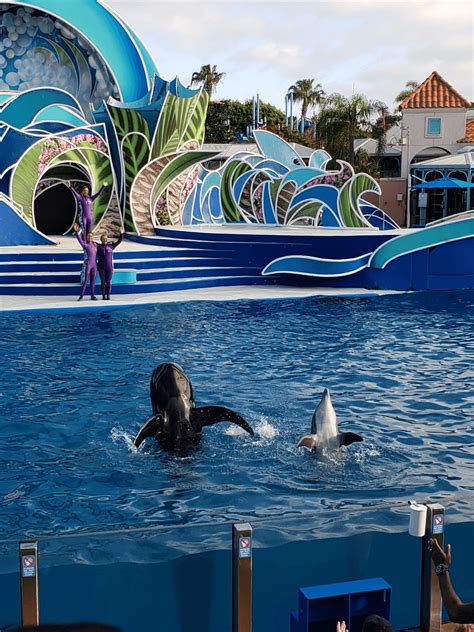 Seaworld San Diego Discount Tickets San Diego Ca Tripster