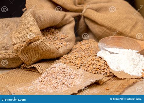Wheat Grains Bran And Flour Stock Photo Image Of Organic Sack