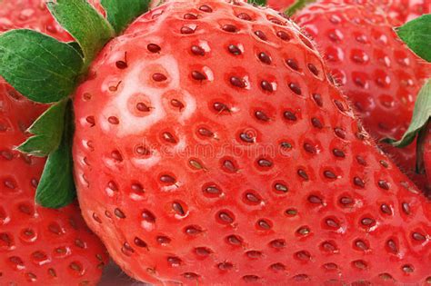 Strawberry Close Up Macro Stock Photo Image Of Natural 18459796