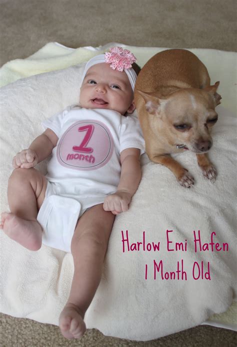 A bathroom or kitchen counter, changing table, or firm bed will work. Pete & Sharmela Hafen: 1 MONTH OLD!