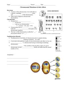 Nondisjunction Disorders Practice