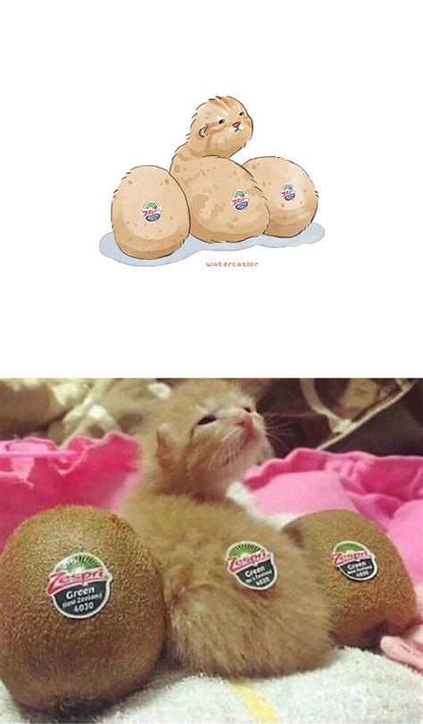 We did not find results for: 11 Gambar Lukisan Kucing Yang Comel Dan Menarik