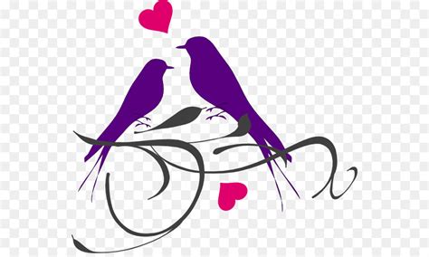 Download kumpulan gambar mewarnai anak dengan tema burung lainnya seperti contoh gambar mewarnai burung merak. Gambar sepatu: Gambar Vektor Burung Lovebird