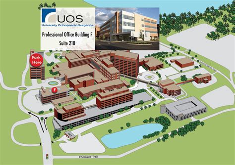 We did not find results for: UT Medical Center | University Orthopedic Surgeons