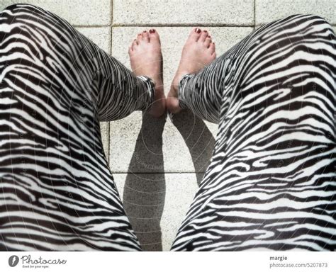 Women Legs With Zebra Pattern A Royalty Free Stock Photo From Photocase