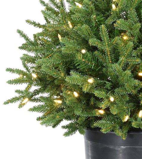 Potted Norway Spruce Small Artificial Christmas Trees