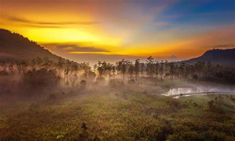 Tempat wisata ranca upas bandung selatan ini sendiri letaknya berada di ketinggian 1.700 meter dari atas permukaan laut. Tempat Wisata Keluarga di Ranca Upas Bandung | Wisatakaka