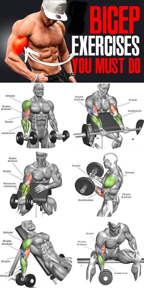 Add Inches To Your Biceps With These Exercises Combined With The