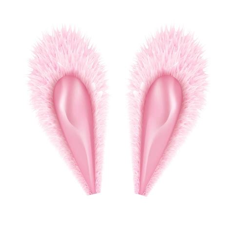 Premium Vector Beautiful Realistic Rabbit Ears Illustration