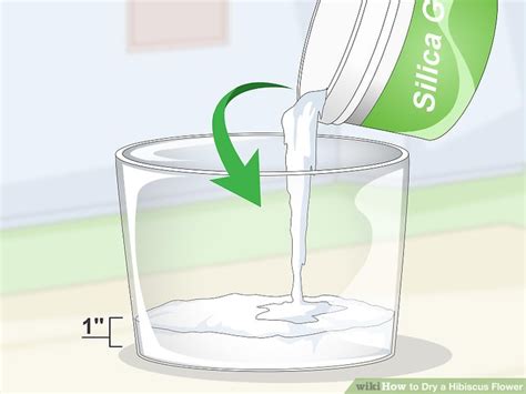 The hibiscus flower comes in a variety of colors and are large flowers. 3 Ways to Dry a Hibiscus Flower - wikiHow