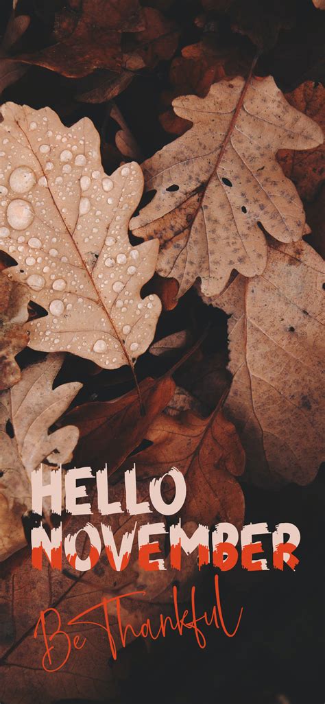 Download Hello November Be Thankful Wallpaper