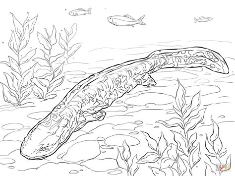 Axolotl Coloring Page